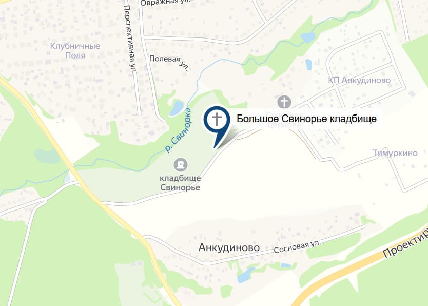 Большое Свинорье кладбище на карте